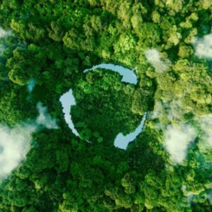Abstract icon representing the ecological call to recycle and reuse in the form of a pond with a recycling symbol in the middle of a beautiful untouched jungle. 3d rendering.
